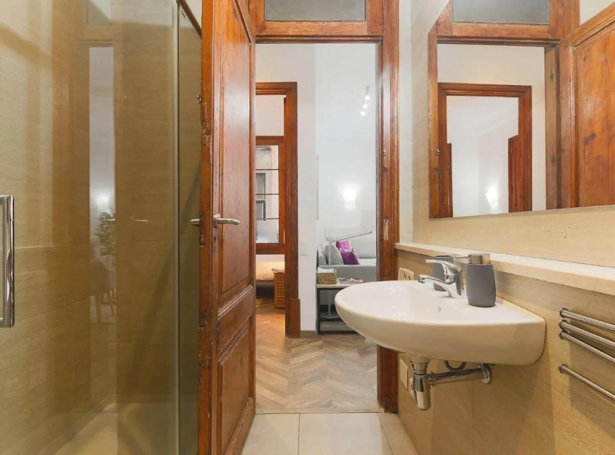 Great Spacious Apartment In The Gothic Quarter Barcelona