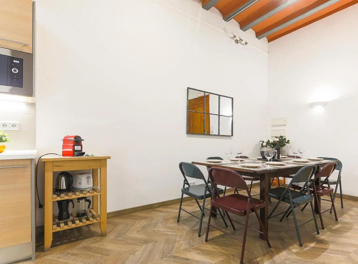 Great Spacious Apartment In The Gothic Quarter Barcelona